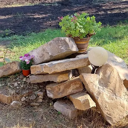 Stela Mare Вілла *